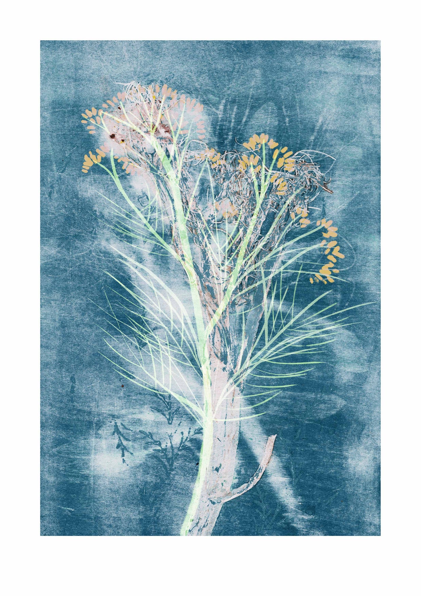 Fennel Herb Print