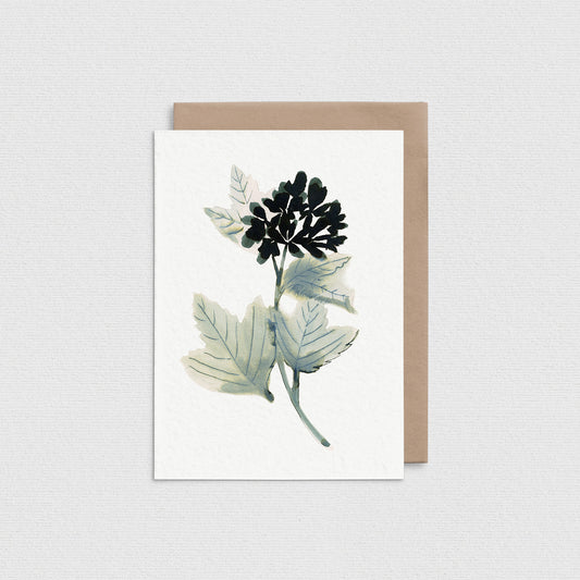 Geranium Card IN05