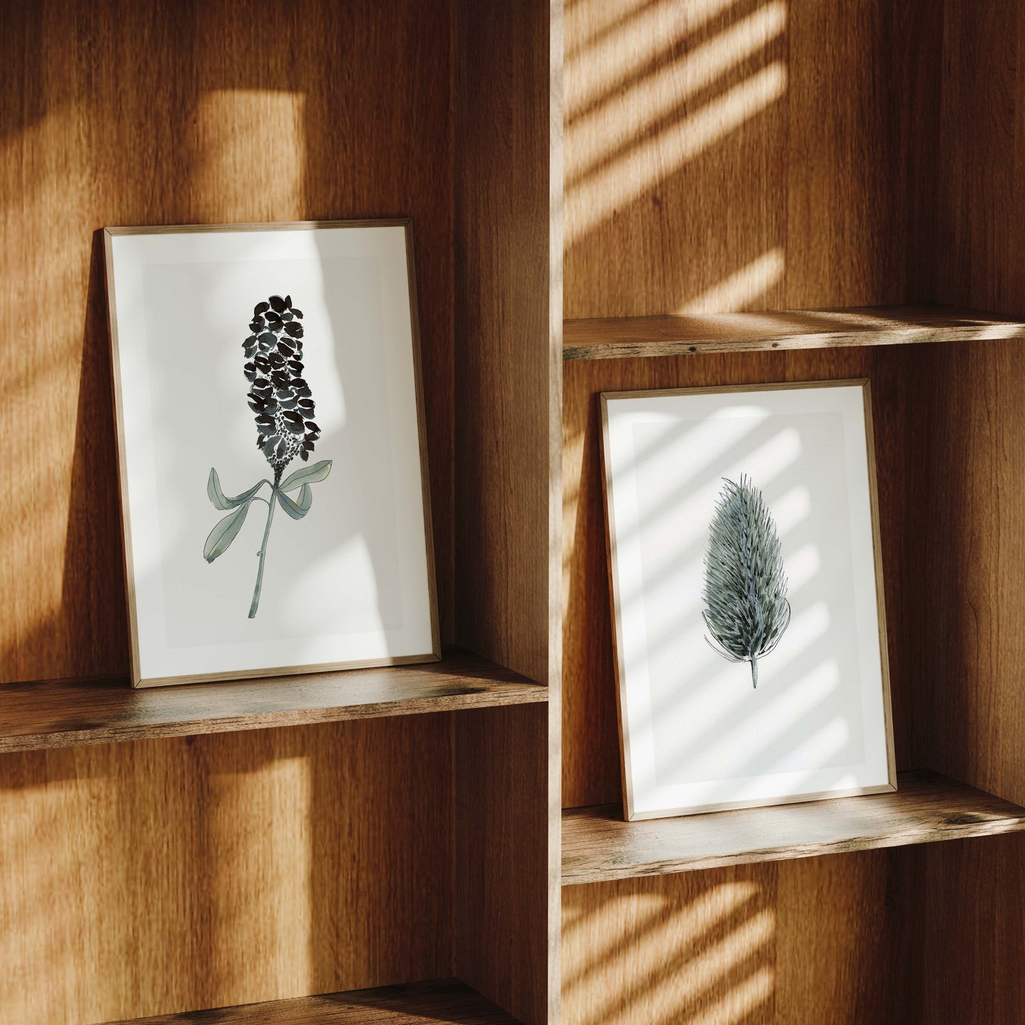 Flower Seed Head A4 Print