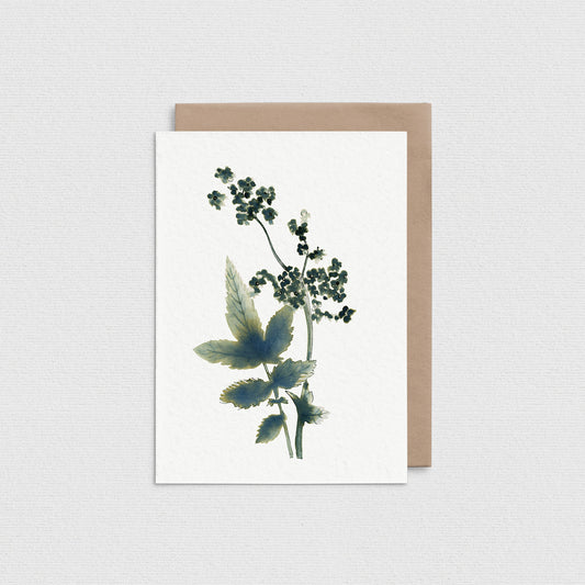 Meadow Sweet Card IN03