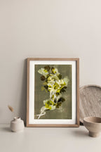 Coriander Herb Print