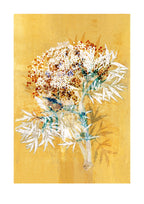Elderflower Print