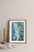 Fennel Herb Print