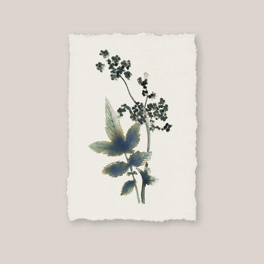 Inky Meadow Sweet Print