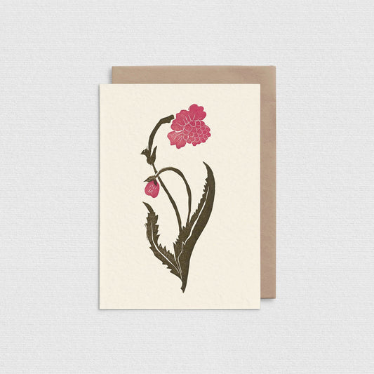 Pink Orchid Greeting Card L102-B2B