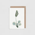 Wintergreen Greeting Card IN06-B2B
