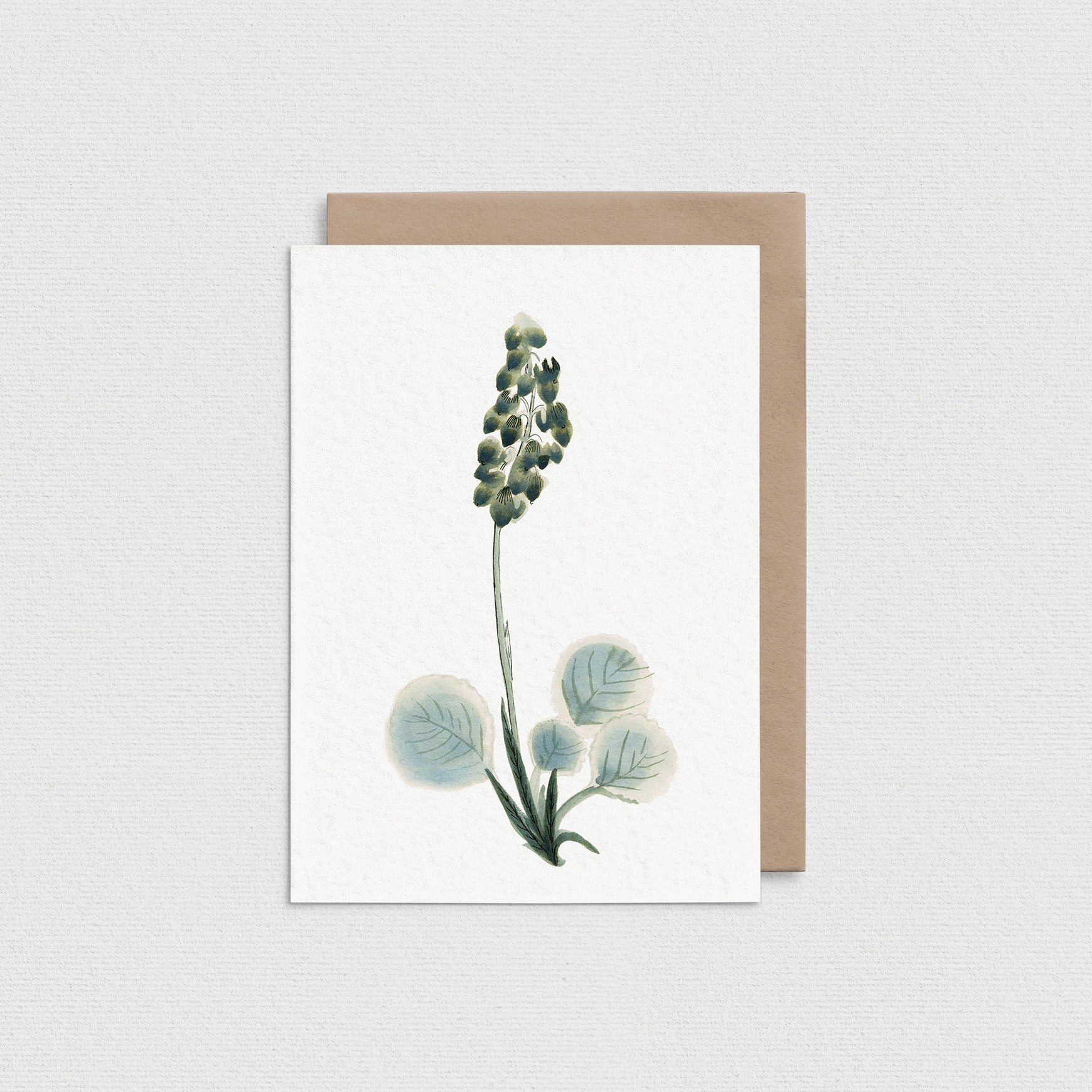 Wintergreen Greeting Card IN06-B2B